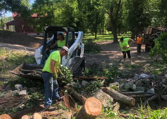 Pace Tree Services Clean Up and Removal Grafton, Illinois 62037