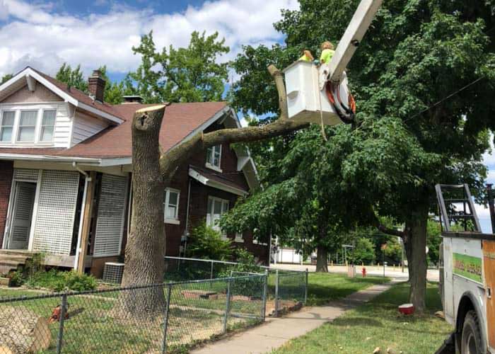 Pace Tree Services Tree Removal Grafton, Il 62037
